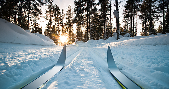 Bilde 3 av 4 i jobbannonse-galleriet