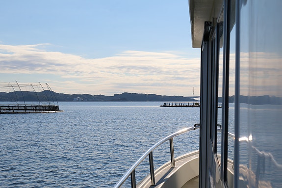 Bilde 8 av 12 i jobbannonse-galleriet