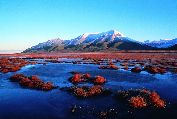 Bilde 3 av 6 i jobbannonse-galleriet