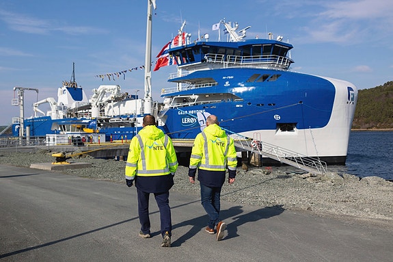 Bilde 2 av 4 i jobbannonse-galleriet