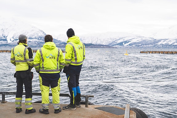 Bilde 4 av 4 i jobbannonse-galleriet