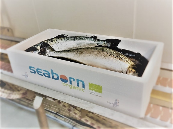 Bilde 3 av 4 i jobbannonse-galleriet