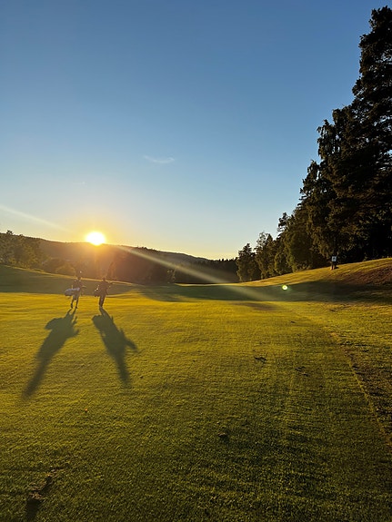 Bilde 1 av 4 i jobbannonse-galleriet