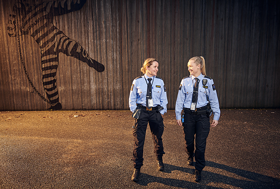 Bilde 1 av 2 i jobbannonse-galleriet