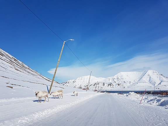 Bilde 3 av 5 i jobbannonse-galleriet