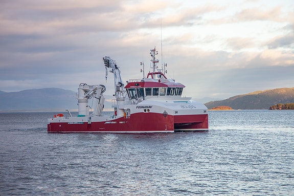 Bilde 1 av 1 i jobbannonse-galleriet