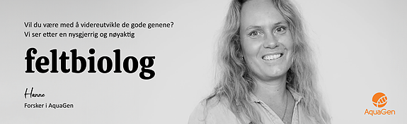 Bilde 1 av 1 i jobbannonse-galleriet