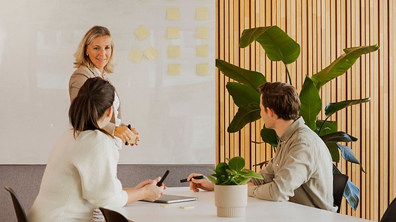 Bilde 13 av 19 i jobbannonse-galleriet