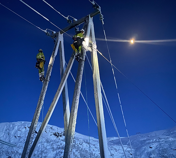 Bilde 1 av 1 i jobbannonse-galleriet