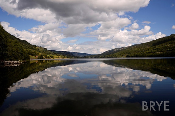 Bilde 12 av 12 i jobbannonse-galleriet