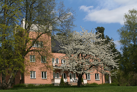Foto: Jan D. Sørensen, FNI.