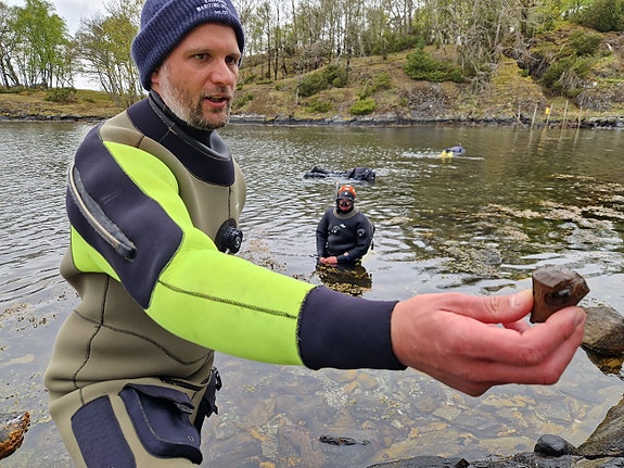 Trenagle fra Bastabn vraket (1200-tallet)