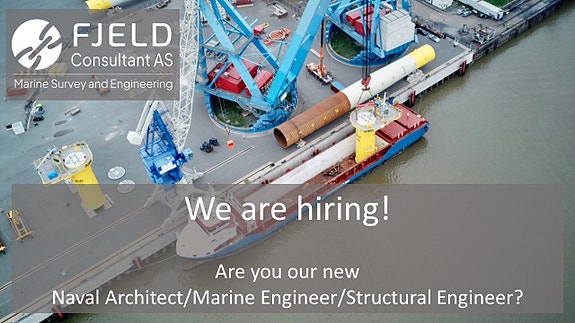 Bilde 1 av 1 i jobbannonse-galleriet