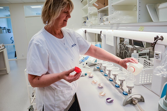 Bilde 3 av 6 i jobbannonse-galleriet