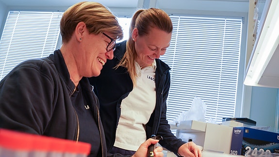 Bilde 2 av 6 i jobbannonse-galleriet