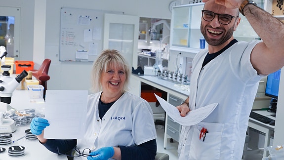 Bilde 1 av 6 i jobbannonse-galleriet