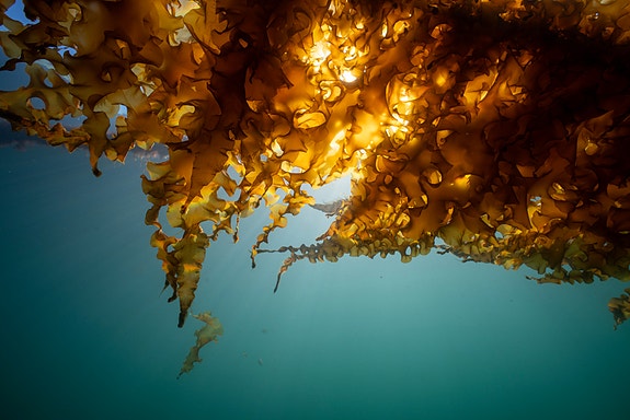 Bilde 2 av 11 i jobbannonse-galleriet