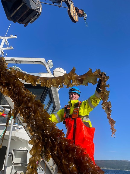 Bilde 7 av 11 i jobbannonse-galleriet