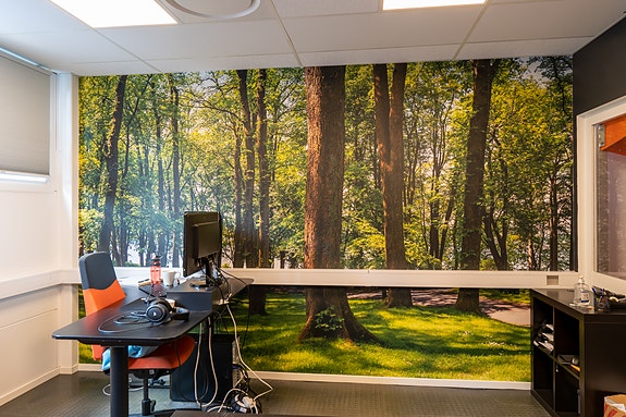 Bilde 9 av 27 i jobbannonse-galleriet