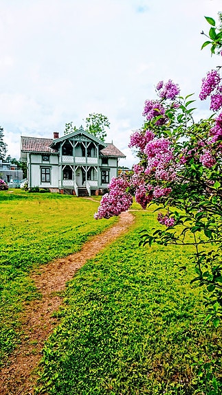 Bilde 2 av 3 i jobbannonse-galleriet