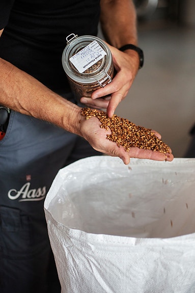 Bilde 3 av 8 i jobbannonse-galleriet