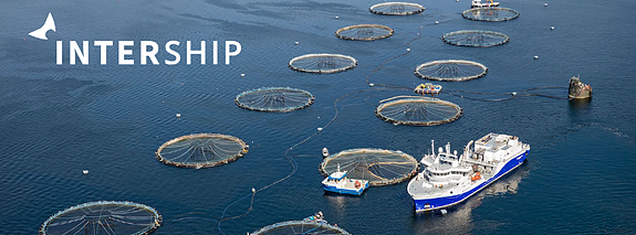 Bilde 1 av 1 i jobbannonse-galleriet