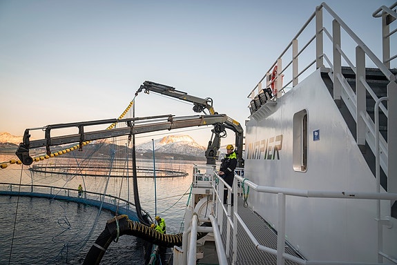 Bilde 3 av 9 i jobbannonse-galleriet