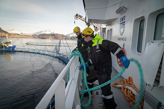 Bilde 2 av 9 i jobbannonse-galleriet