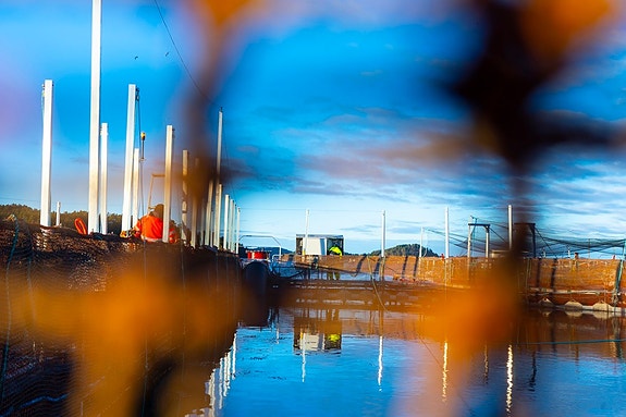 Bilde 7 av 12 i jobbannonse-galleriet