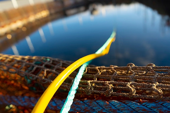 Bilde 4 av 12 i jobbannonse-galleriet