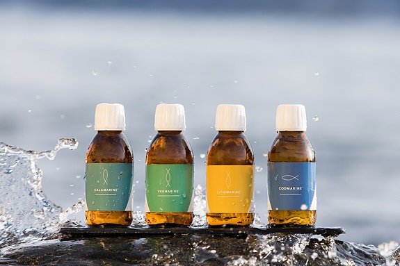 Bilde 1 av 6 i jobbannonse-galleriet