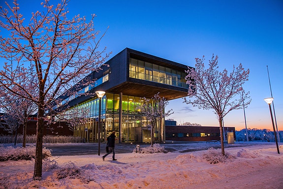 Høgskolen i Østfold, studiested Halden