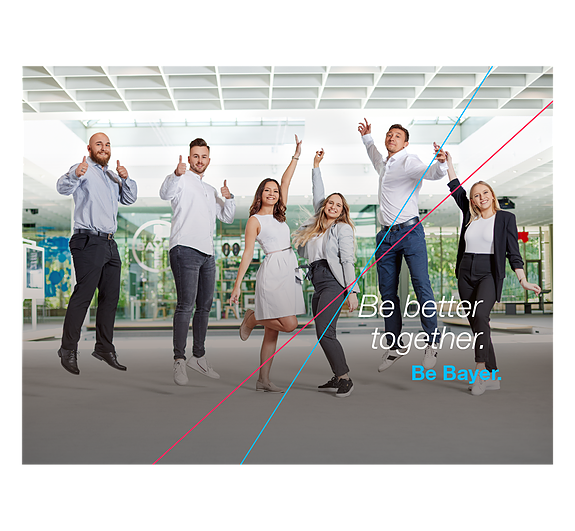 Bilde 1 av 4 i jobbannonse-galleriet