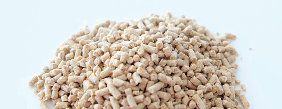 Bilde 3 av 3 i jobbannonse-galleriet