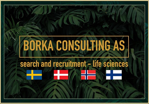 Bilde 4 av 4 i jobbannonse-galleriet