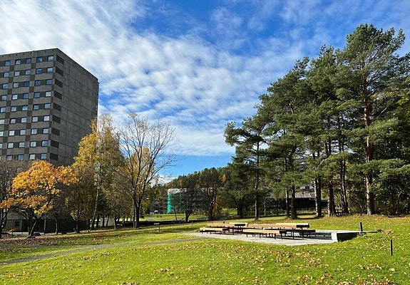 (foto. Eivind Andreas Vadum, Landskap+)