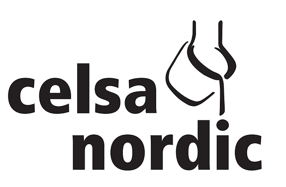 Celsa Armeringsstål As