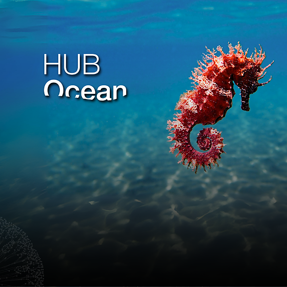 HUB Ocean Foundation logo