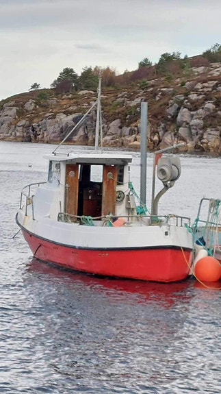 Visund 27 selges som rep. 1 of 10