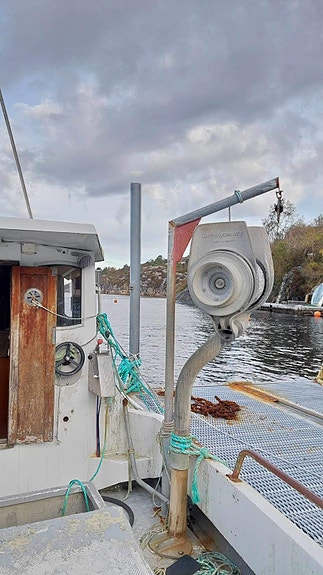 Visund 27 selges som rep. 3 of 10