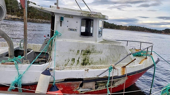 Visund 27 selges som rep. 9 of 10