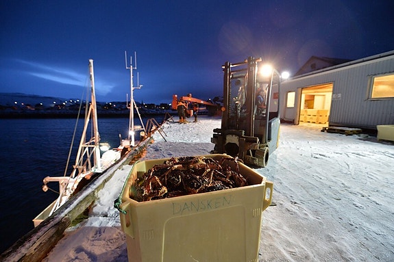 Bilde 4 av 8 i jobbannonse-galleriet