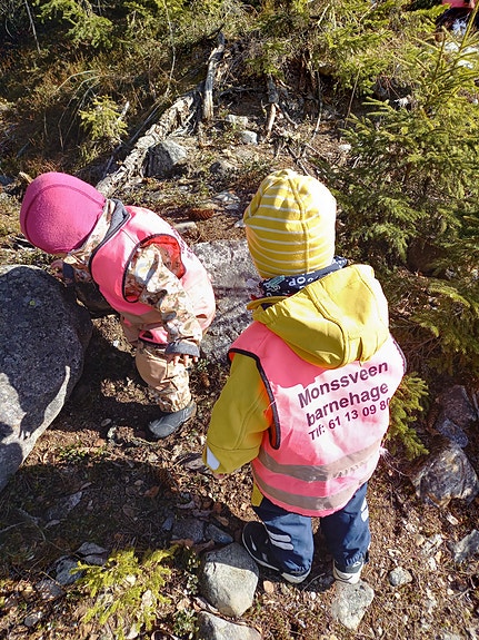 Bilde 3 av 3 i jobbannonse-galleriet