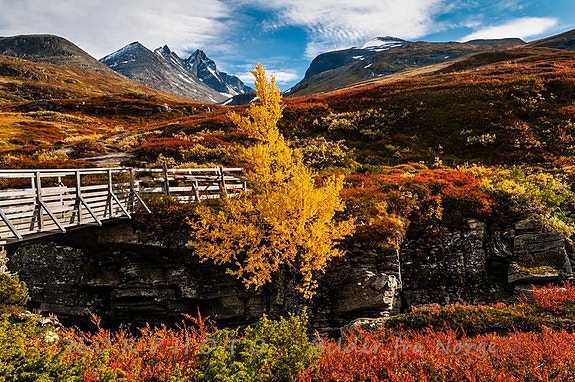 Bilde 3 av 4 i jobbannonse-galleriet