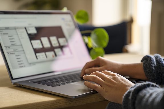 Bilde 1 av 2 i jobbannonse-galleriet