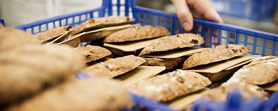 Bilde 7 av 7 i jobbannonse-galleriet