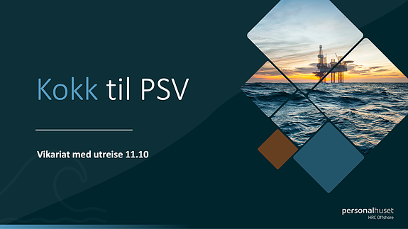 Bilde 1 av 1 i jobbannonse-galleriet