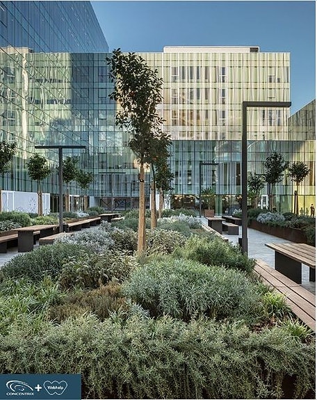 Our Barcelona office's outdoor area is filled with fruit trees and aromatic plants, making it the perfect spot to relax and recharge