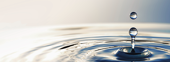 Bilde 1 av 5 i jobbannonse-galleriet