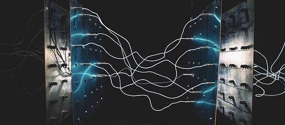 Bilde 1 av 1 i jobbannonse-galleriet